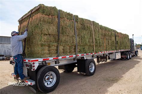 Chilliwack, BC V2P 8A4 CAN. . Hay hauling rates 2022